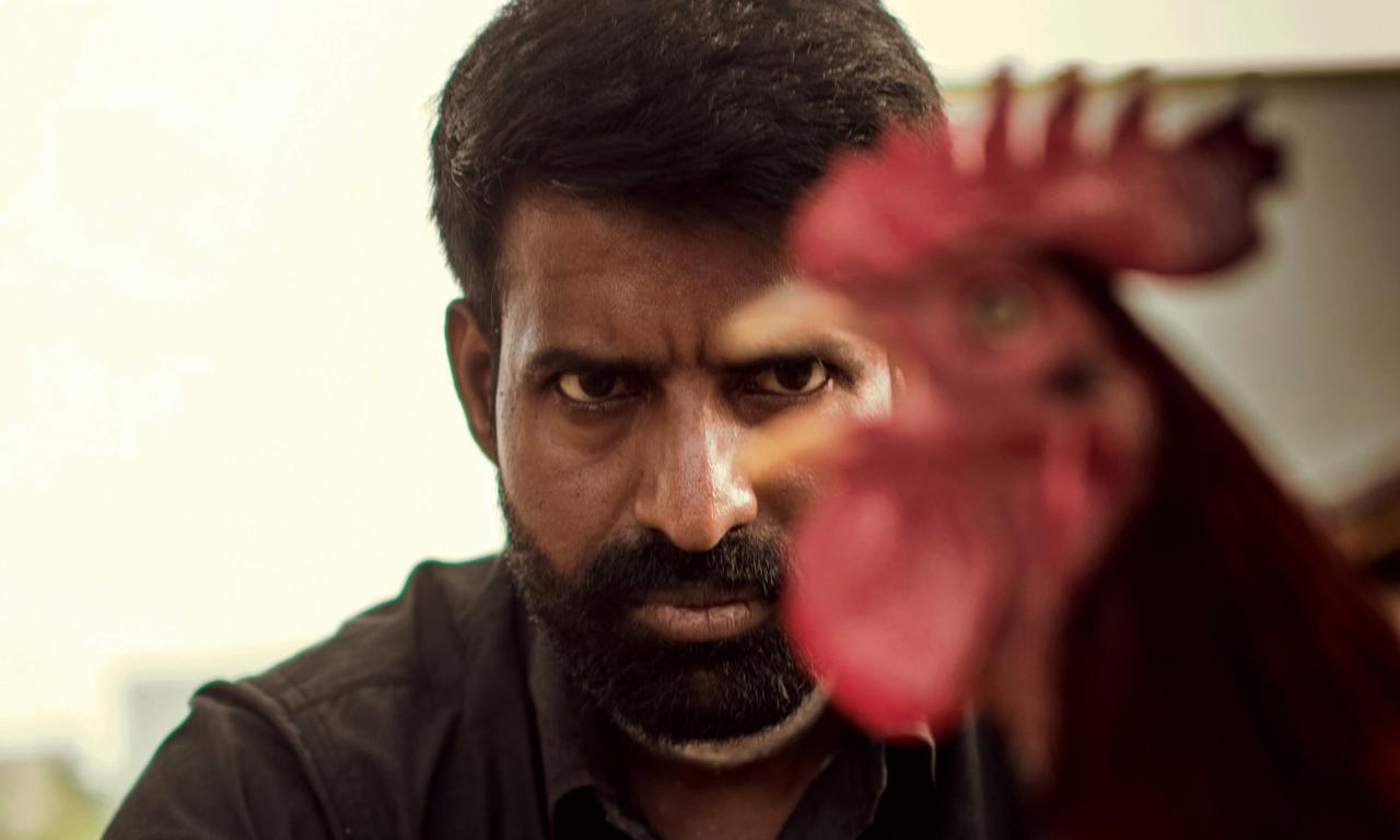 header image for Kottukkaali