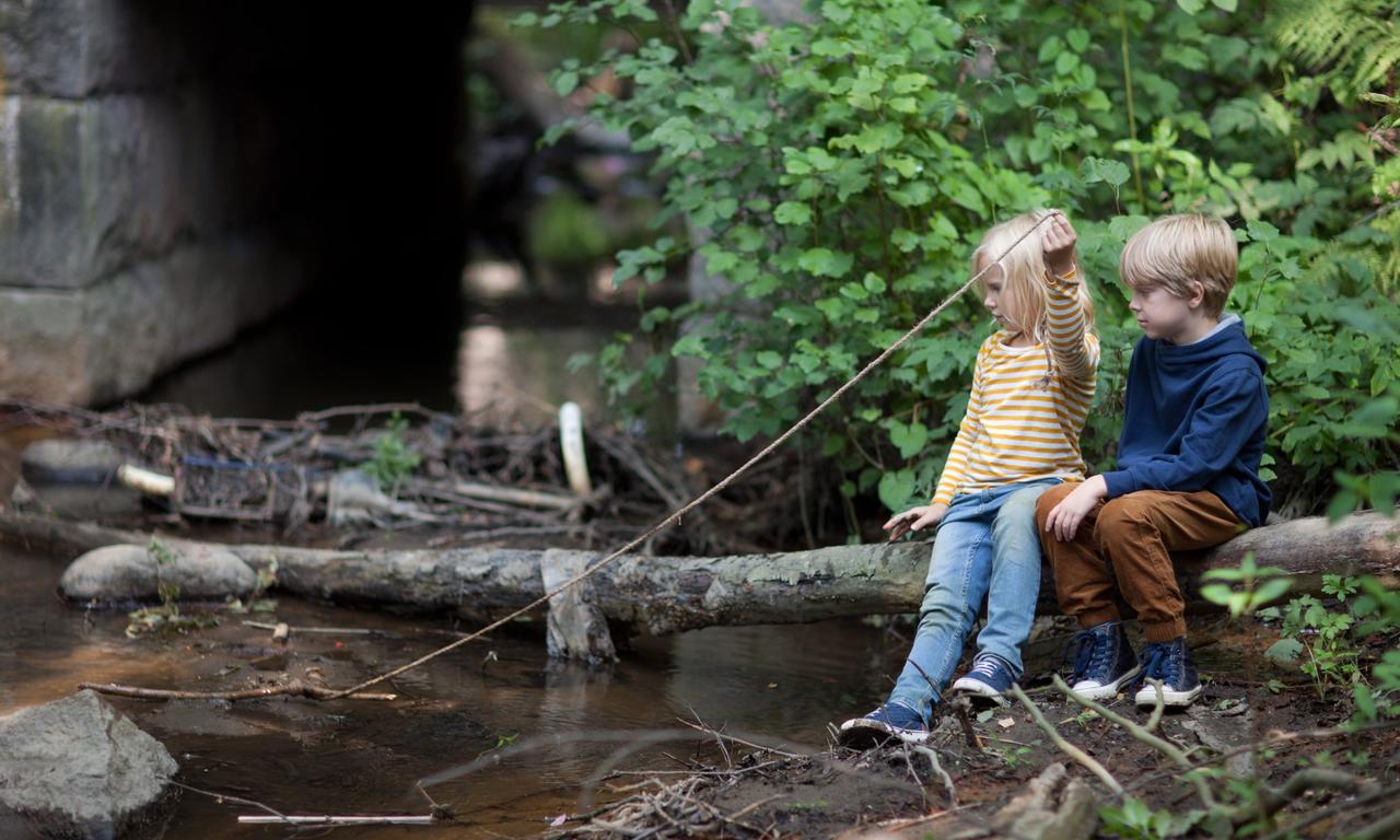 header image for The Stick