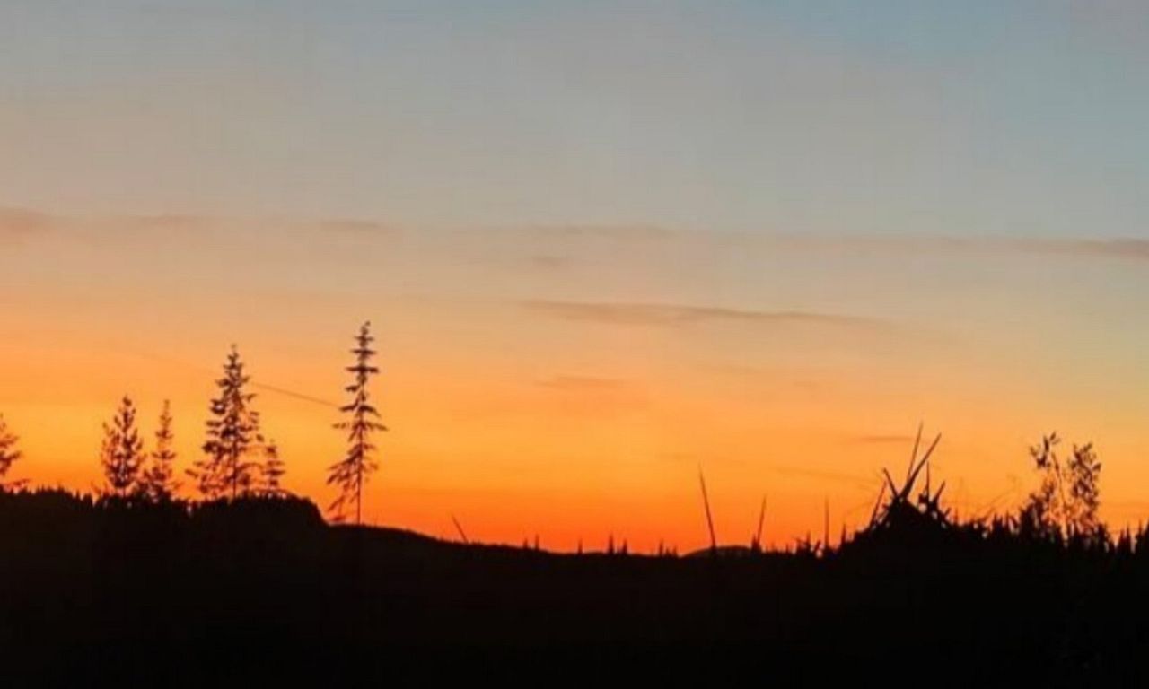 header image for Idaho Fallen