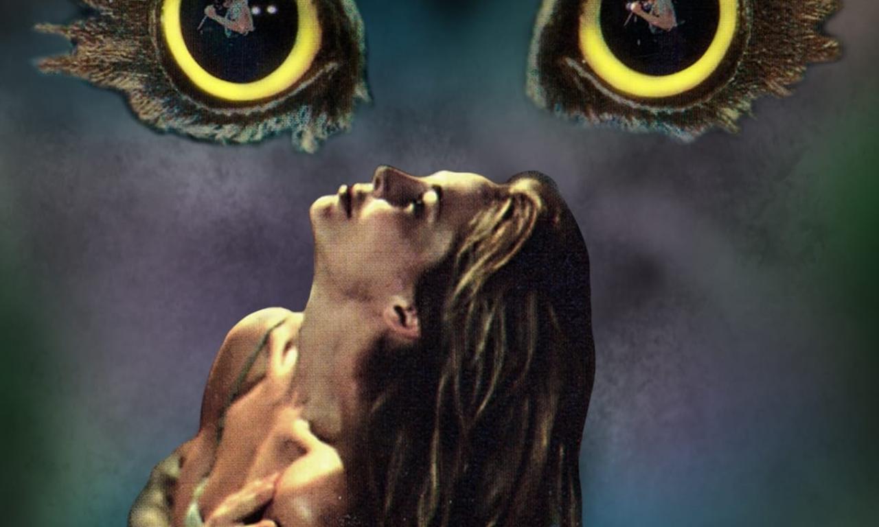 header image for Stormswept