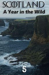 Scotland: A Year In The Wild