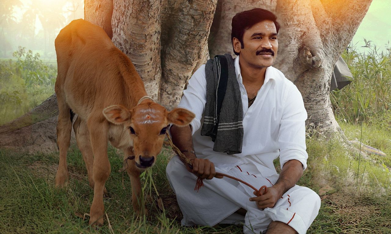 header image for Idli Kadai