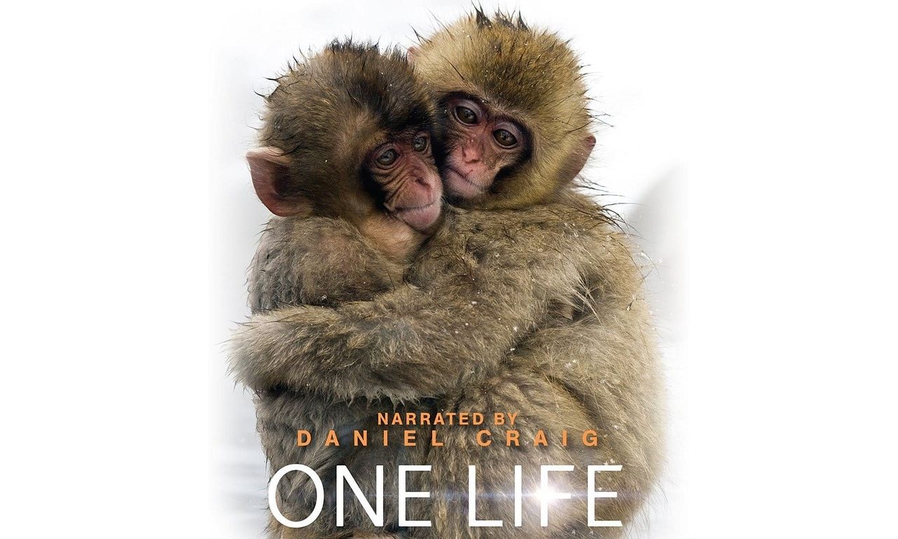 header image for One Life