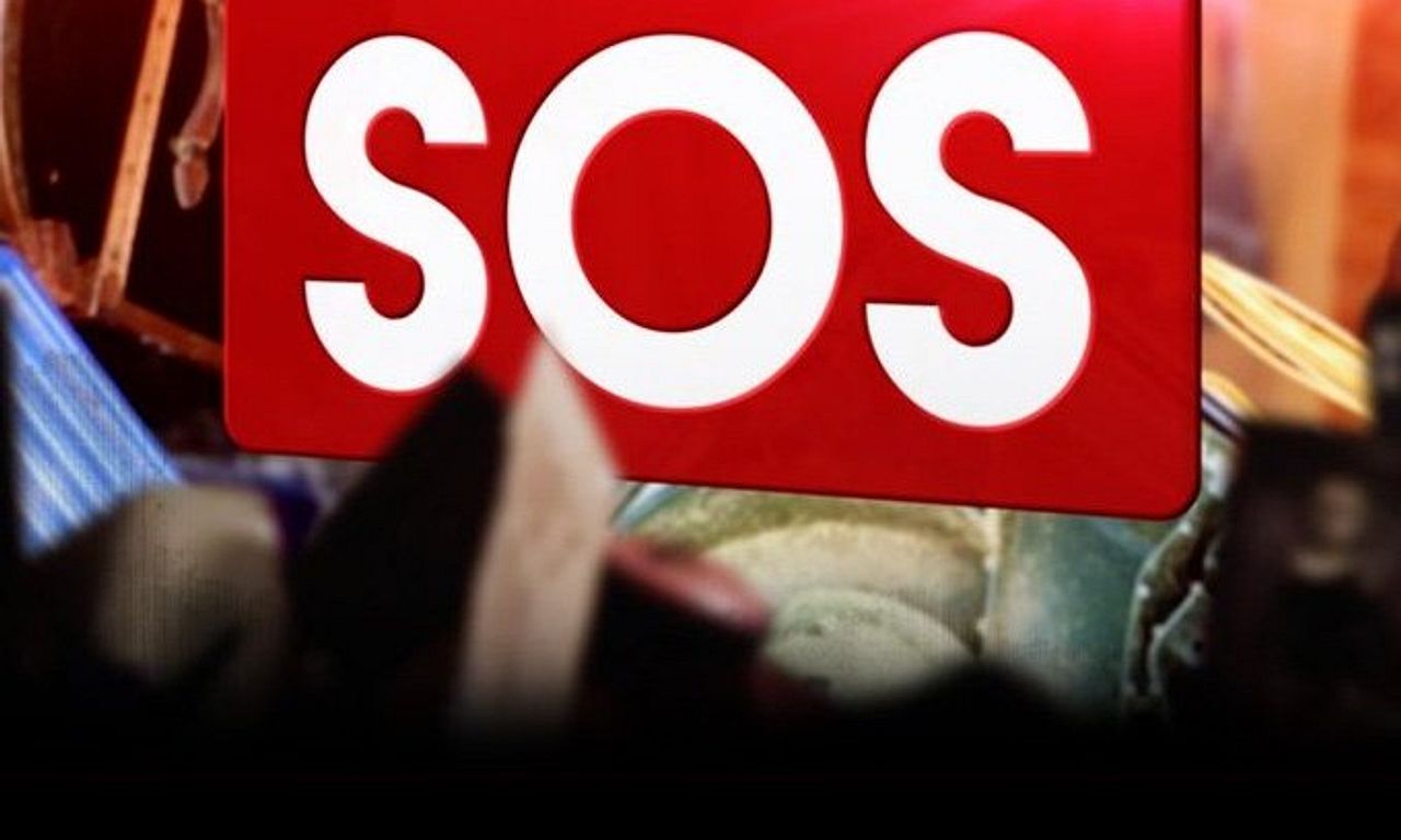 header image for Hoarder SOS