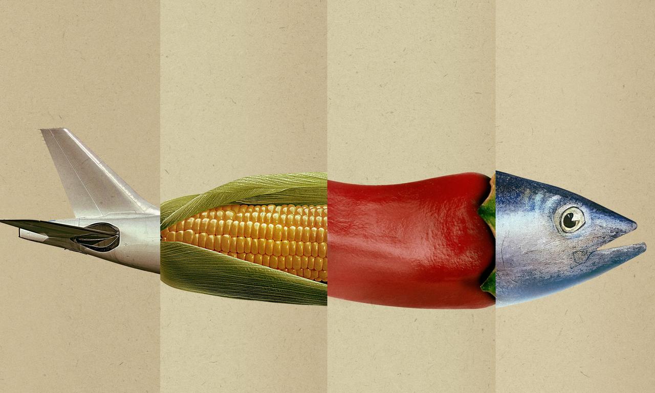 header image for Omnivore