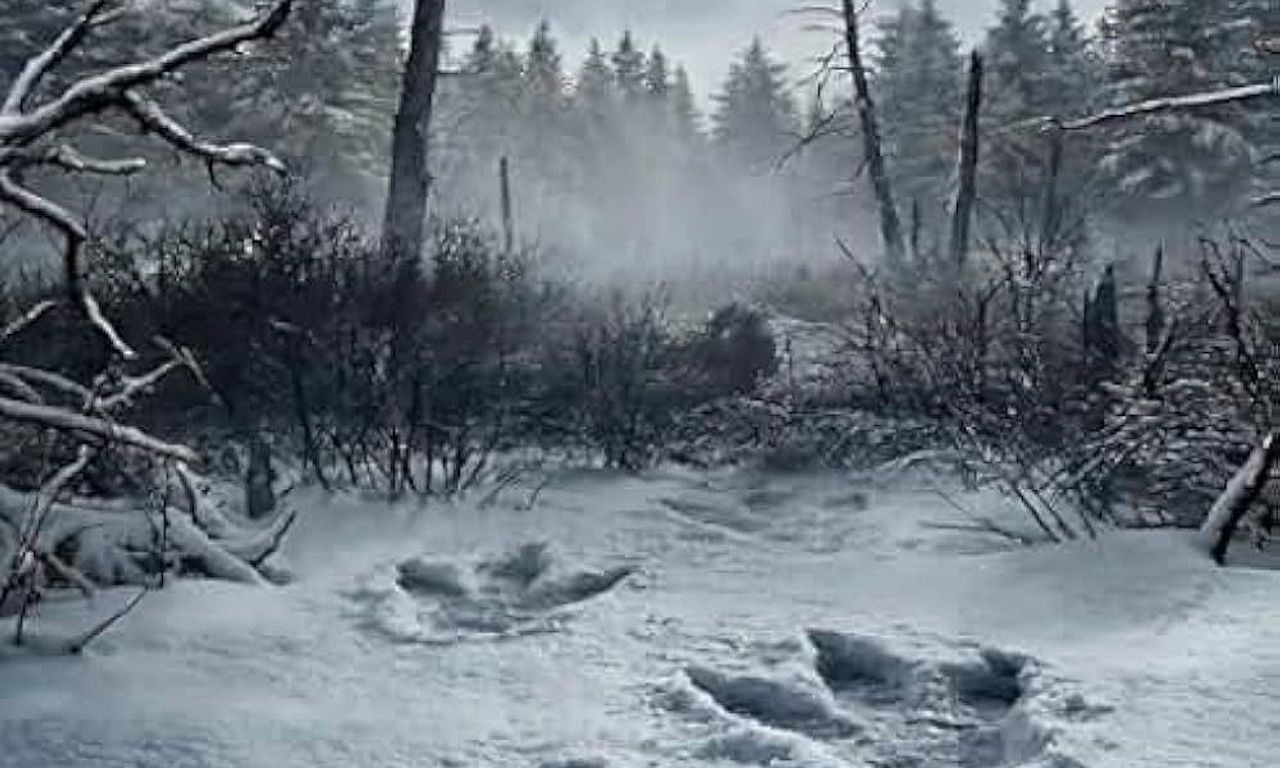 header image for Ice Beast