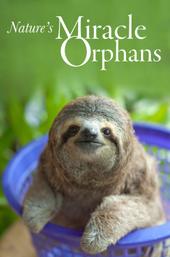 Nature's Miracle Orphans