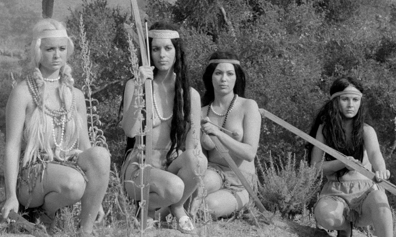 header image for Revenge of the Virgins