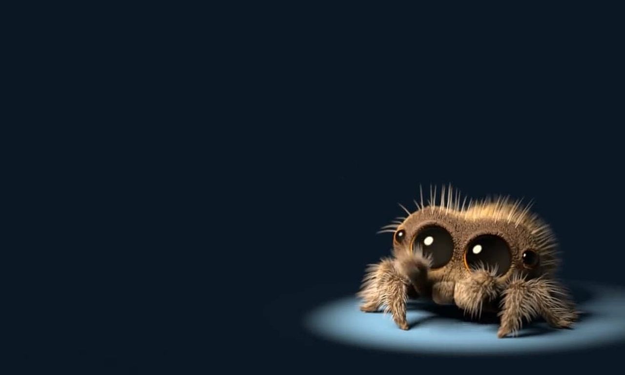 header image for Lucas the Spider