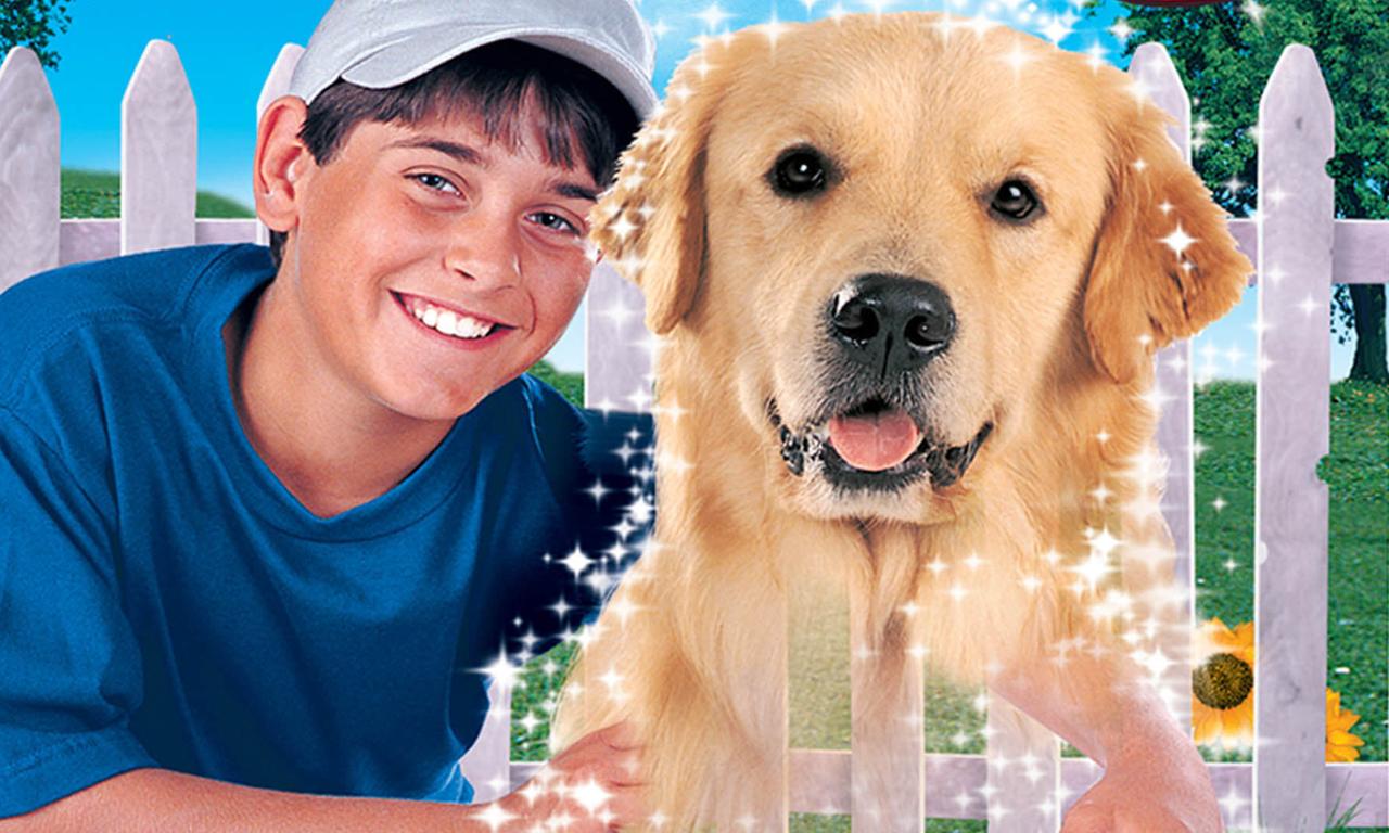 header image for My Ghost Dog