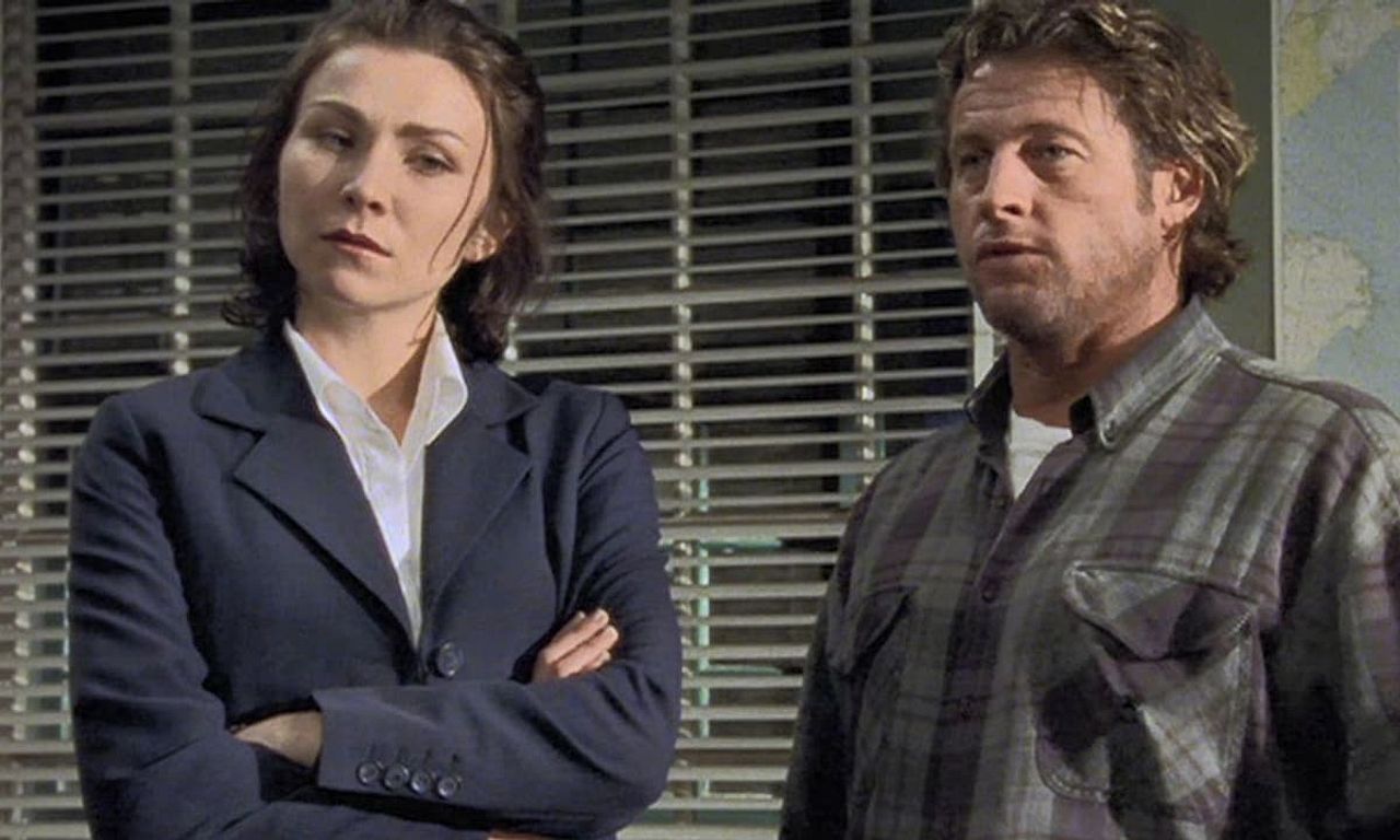 header image for Stingers