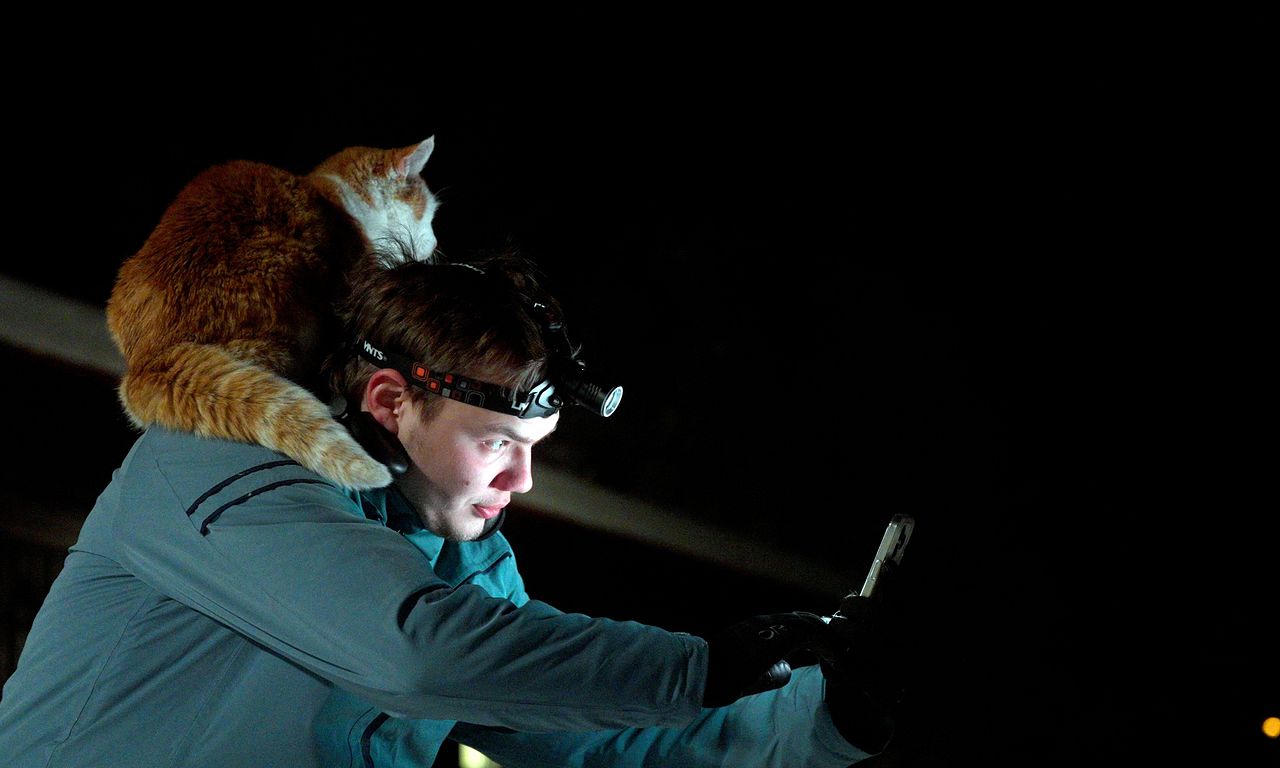 header image for Folktales