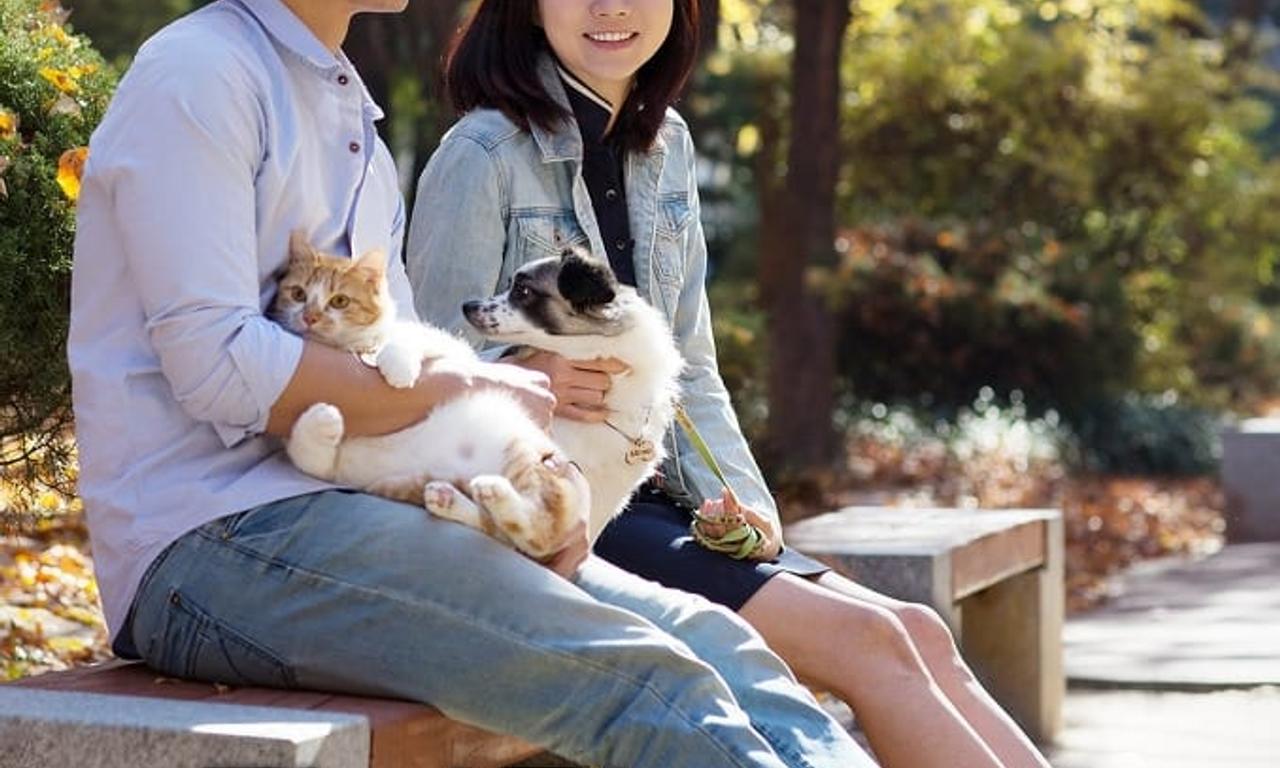 header image for Cats and Dogs