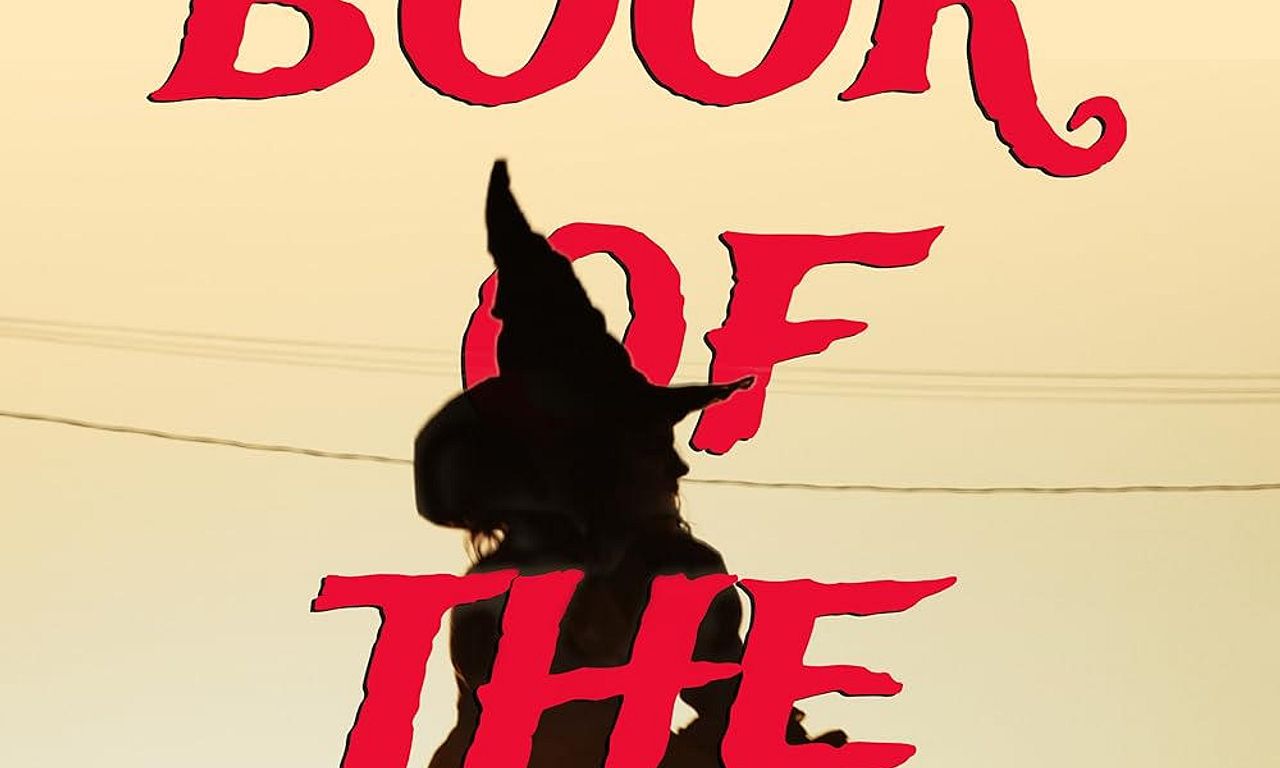 header image for The Book of the Witch