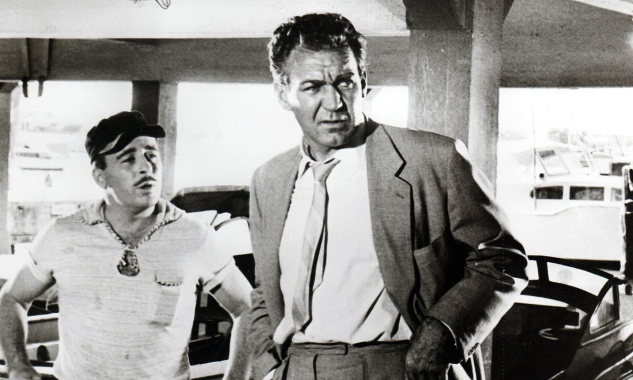 header image for Counterplot