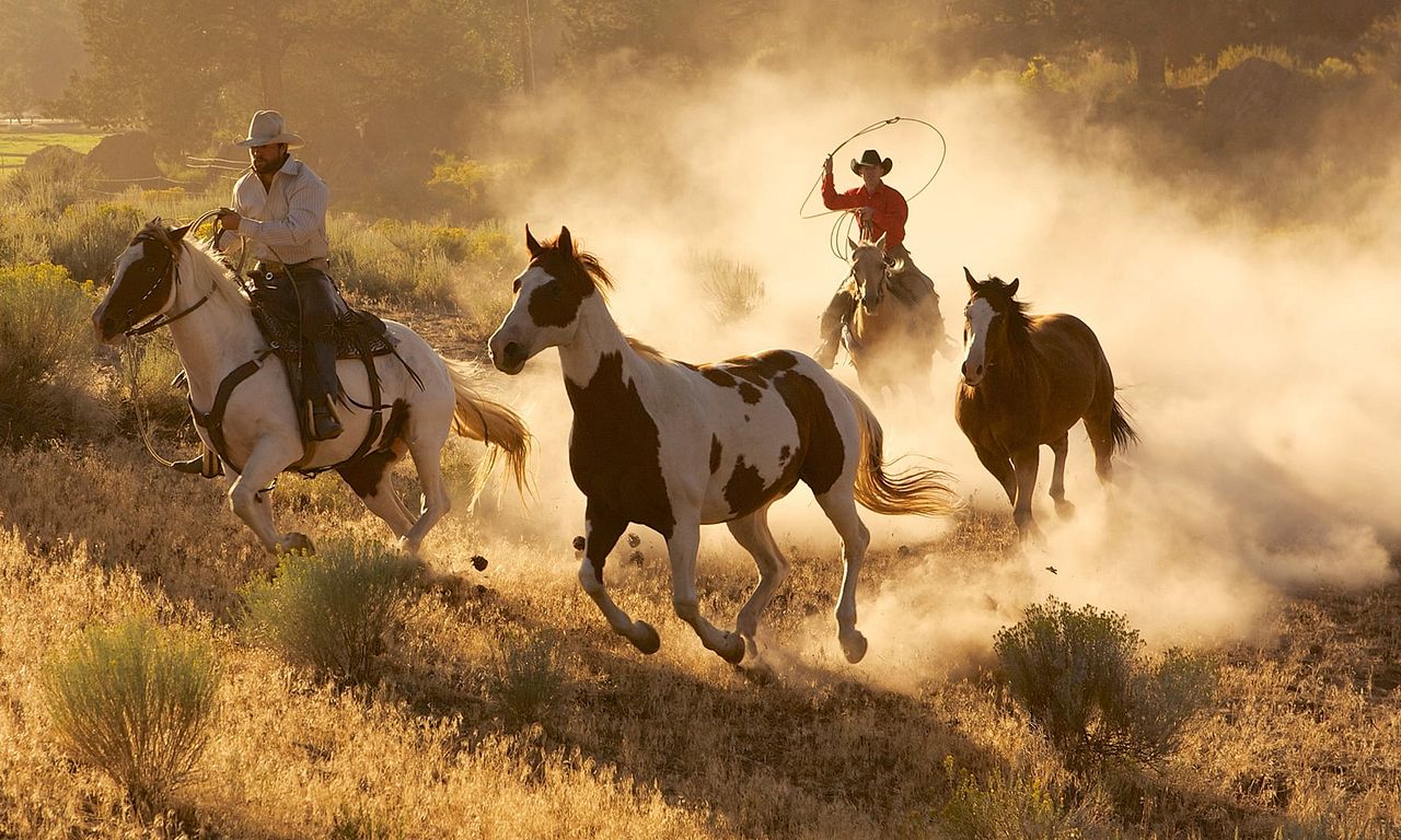 header image for Wild West: America's Great Frontier