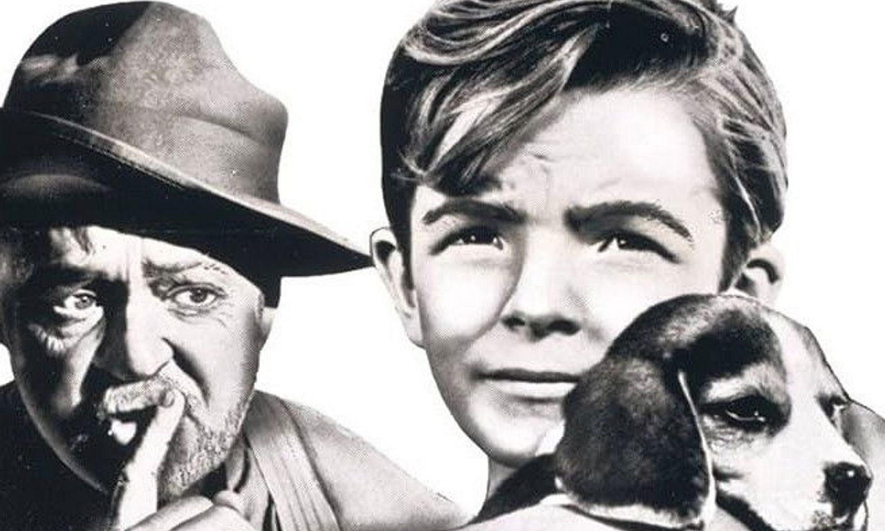 header image for Boy Who Caught a Crook