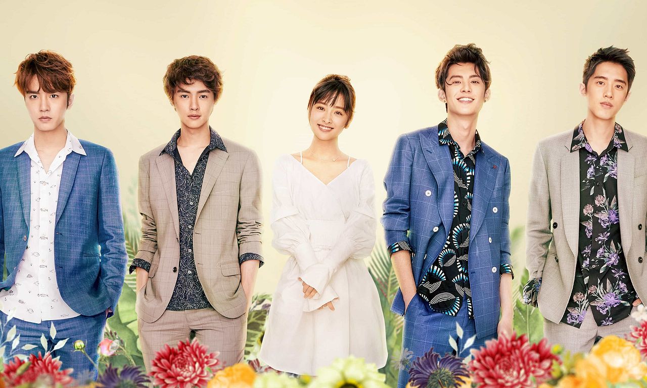 header image for Meteor Garden