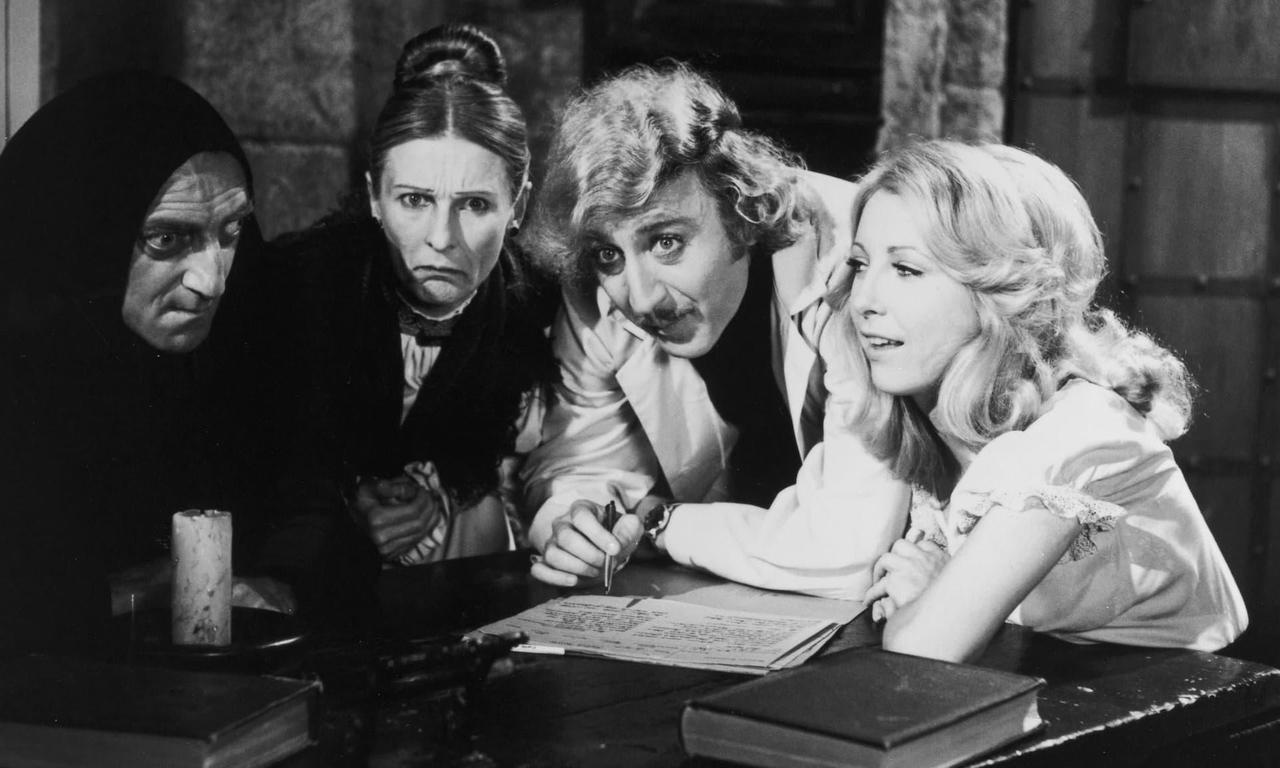 Young Frankenstein streaming: where to watch online?