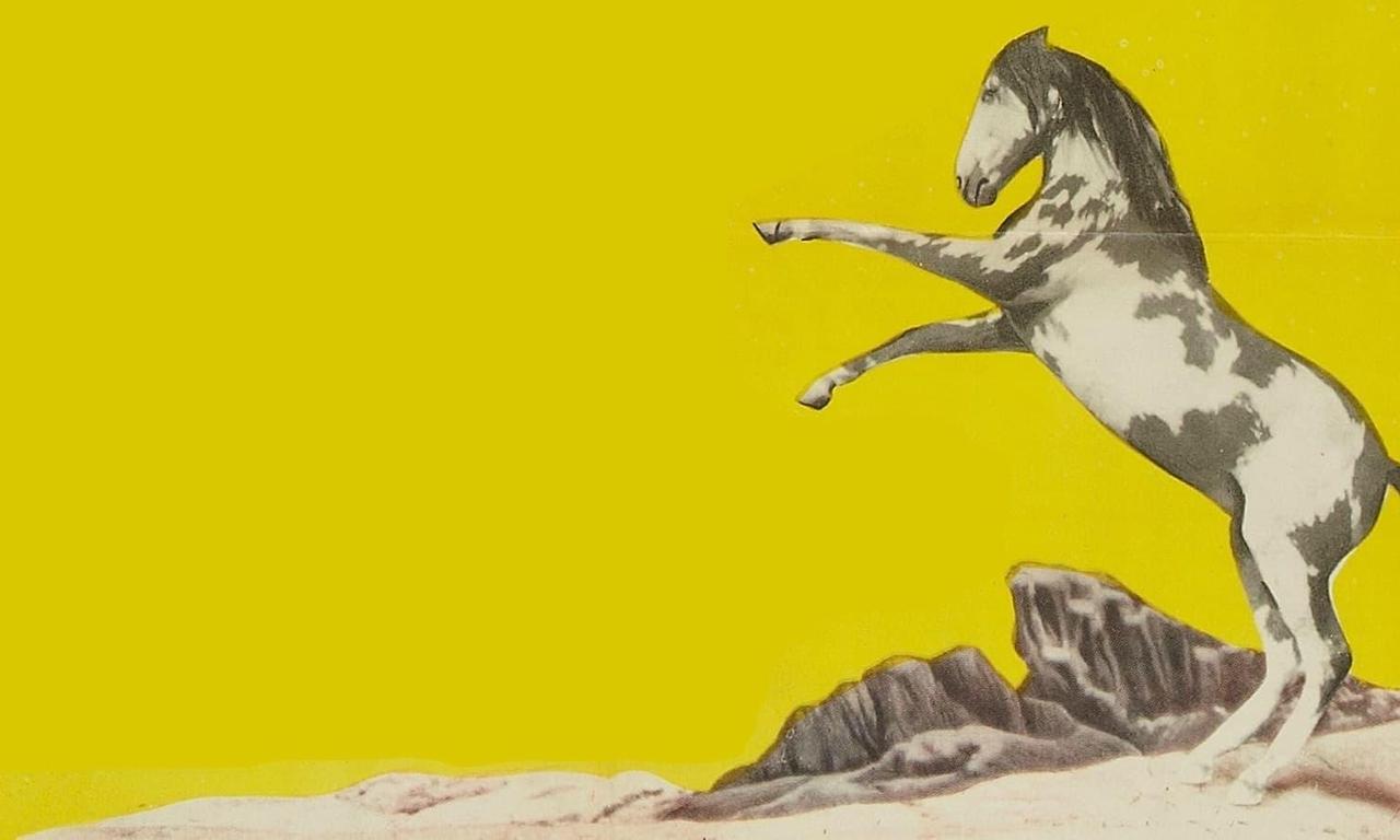 header image for Thunderhoof