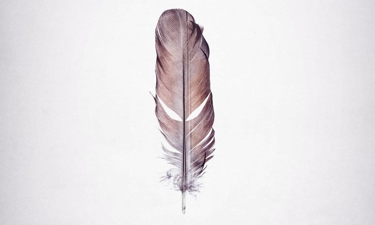header image for Tickled