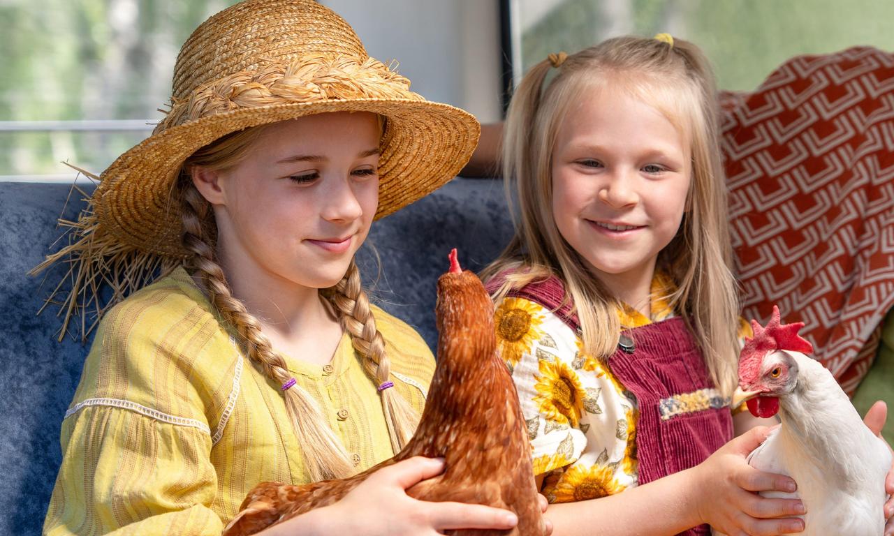 header image for Hayflower, Quiltshoe and the Chicken