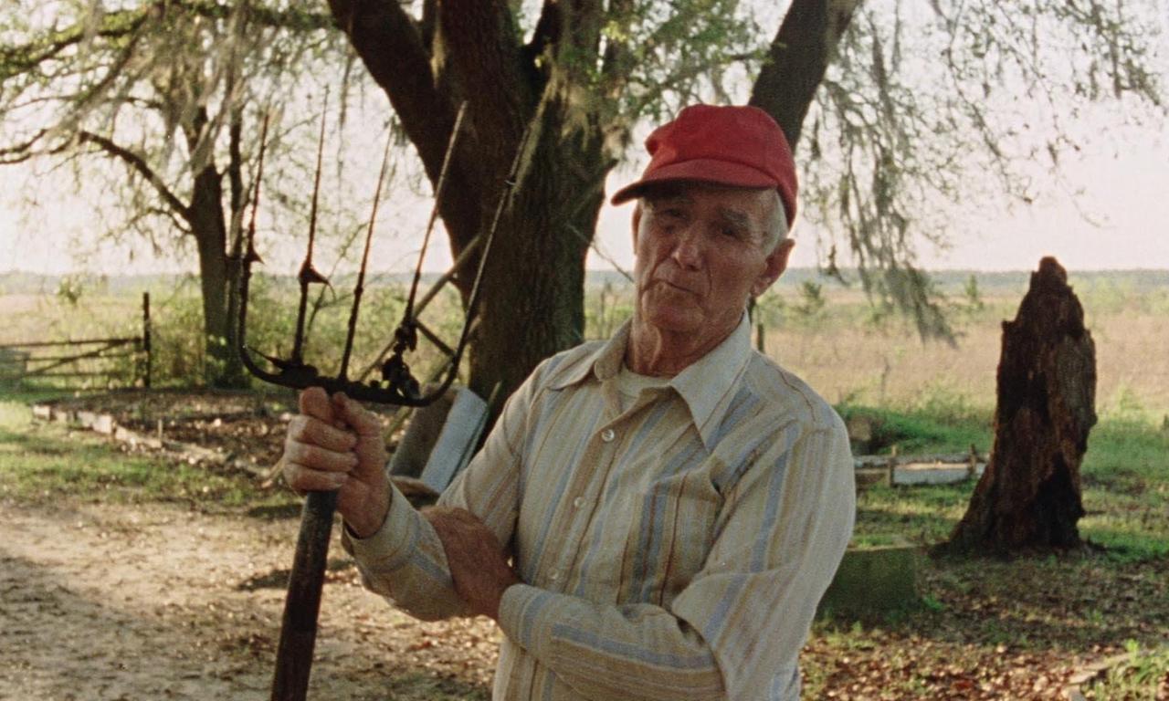 Vernon, Florida Where to Watch and Stream Online Entertainment.ie