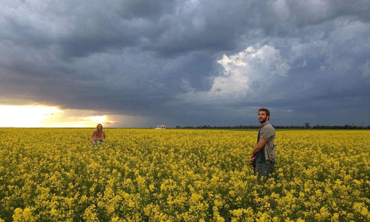 Cut Bank Where to Watch and Stream Online Entertainment.ie