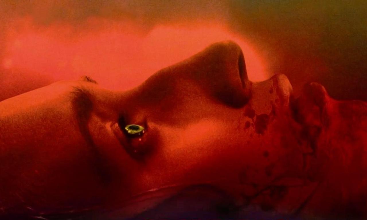 header image for When Animals Dream