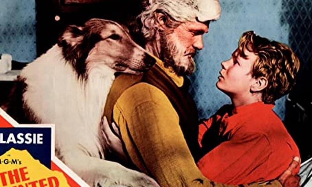 Lassie In The Painted Hills (1951) Movie