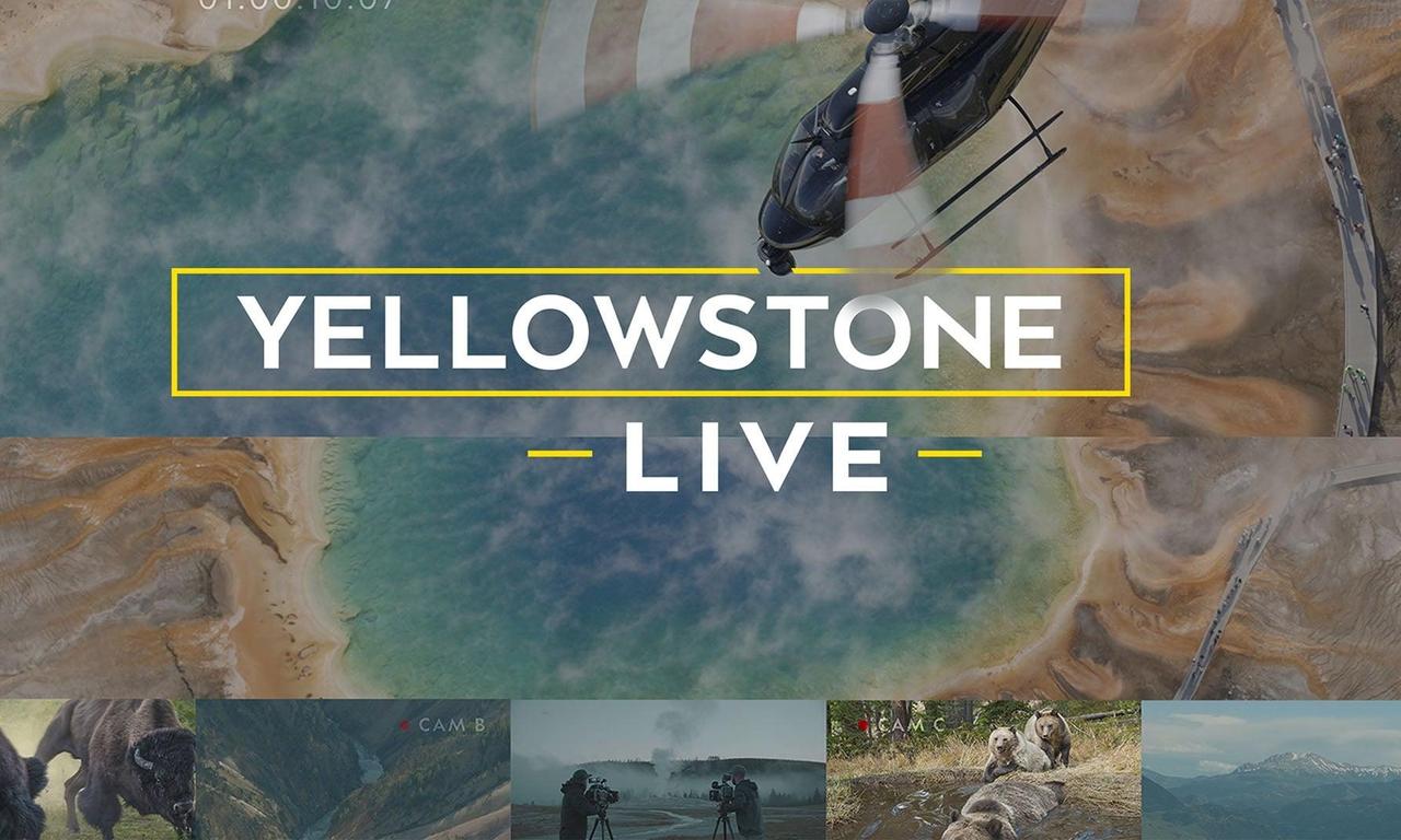 Yellowstone Live Where to Watch and Stream Online Entertainment.ie