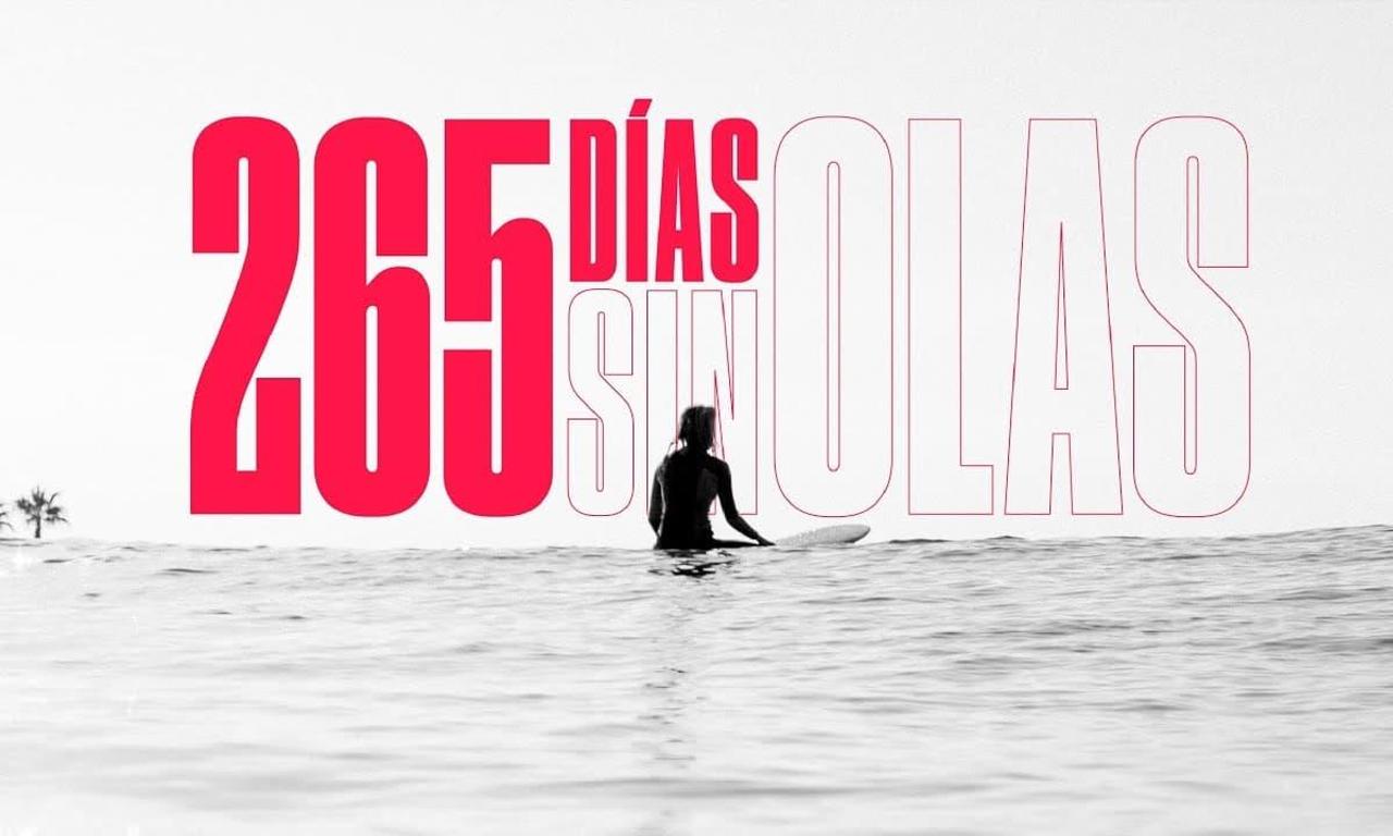 header image for 265 Days Without Waves