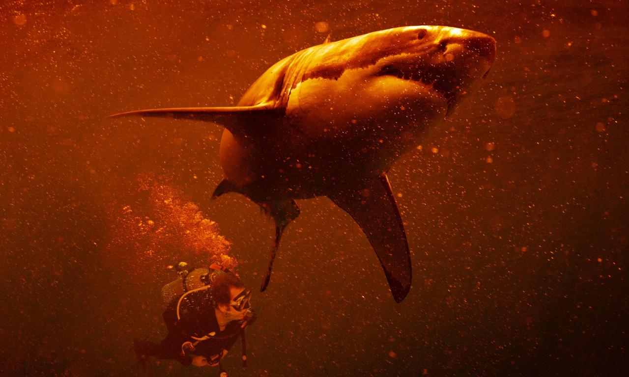 header image for Sharkcano: Hawaii