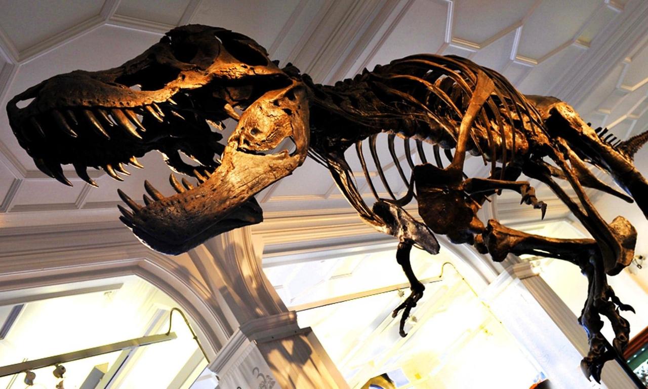 header image for How to Build a Dinosaur