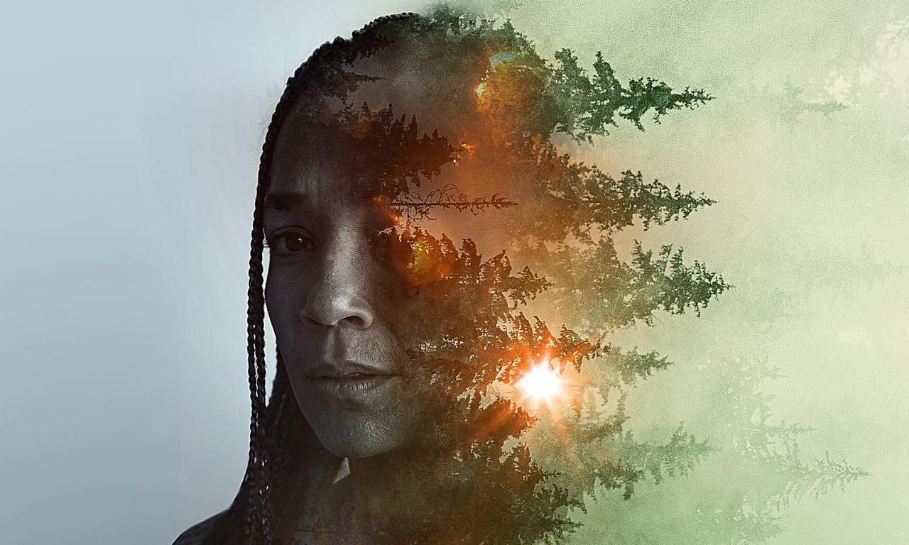 header image for Sheltering Season