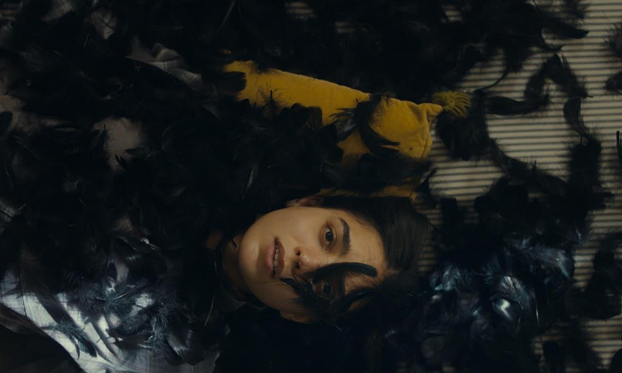 header image for All the World Is Sleeping