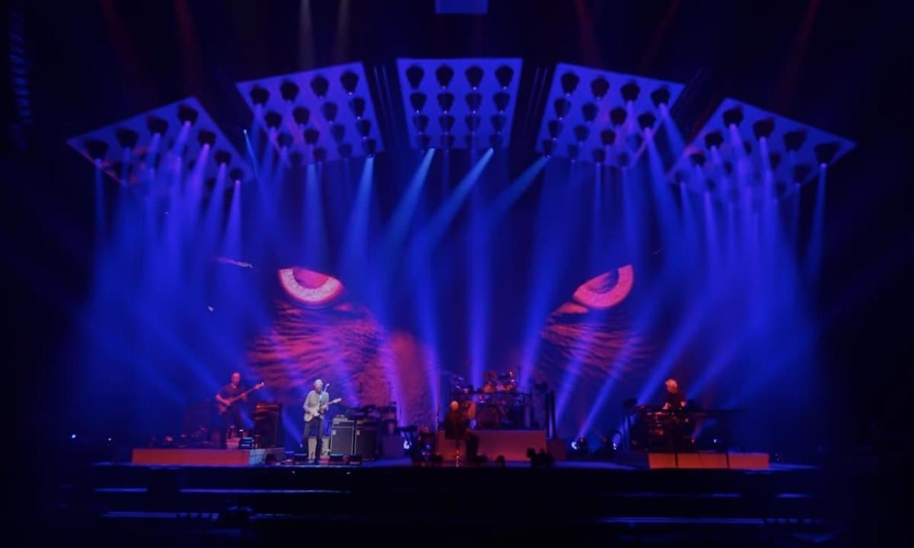 Genesis The Last Domino? Where to Watch and Stream Online