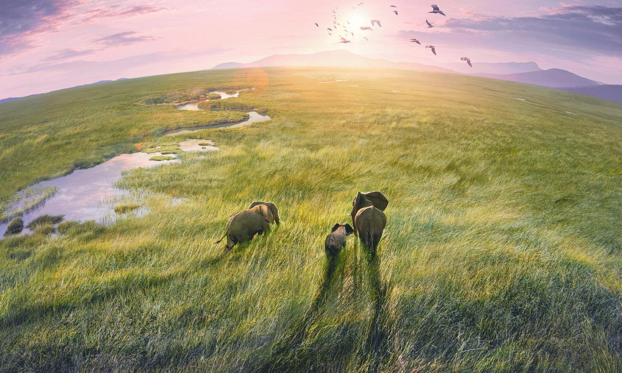 header image for Planet Earth III