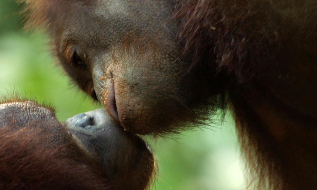 header image for Equator from the Air