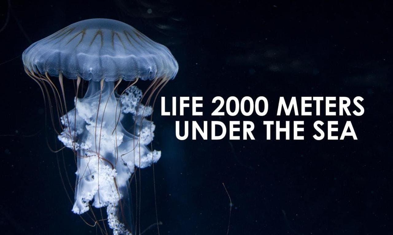 Life 2,000 Meters Under the Sea - Where to Watch and Stream Online ...