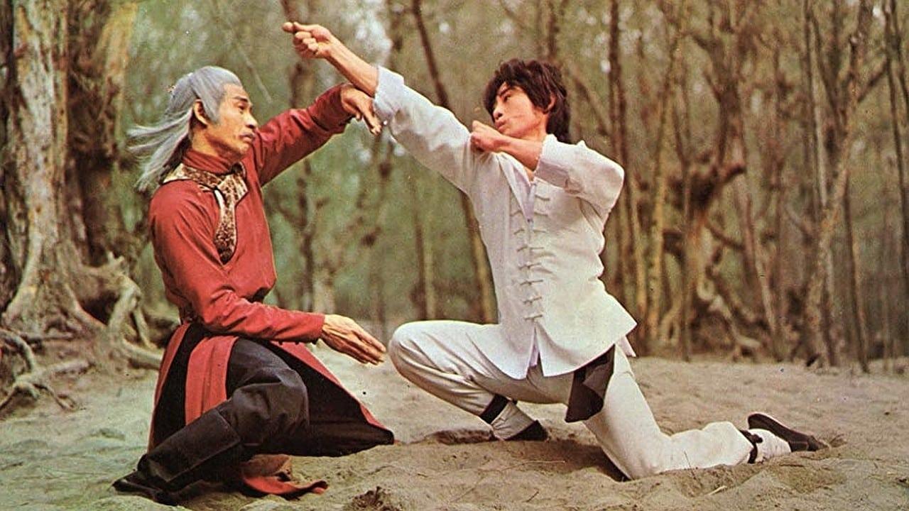 Watch Shaolin Kung Fu Master Online | 1980 Movie | Yidio