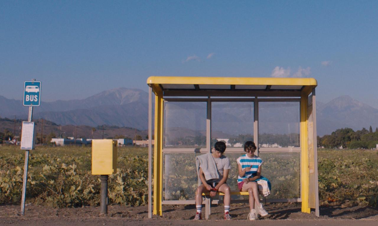 header image for Aristotle and Dante Discover the Secrets of the Universe