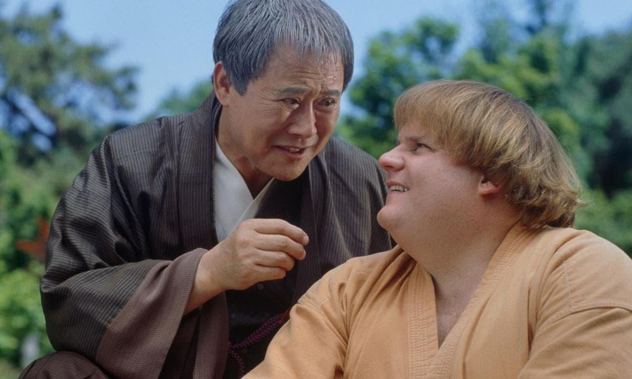 Beverly Hills Ninja Where to Watch and Stream Online Entertainment.ie