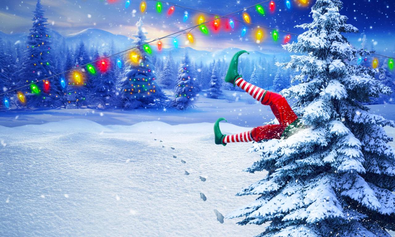 header image for Big Brother: Reindeer Games