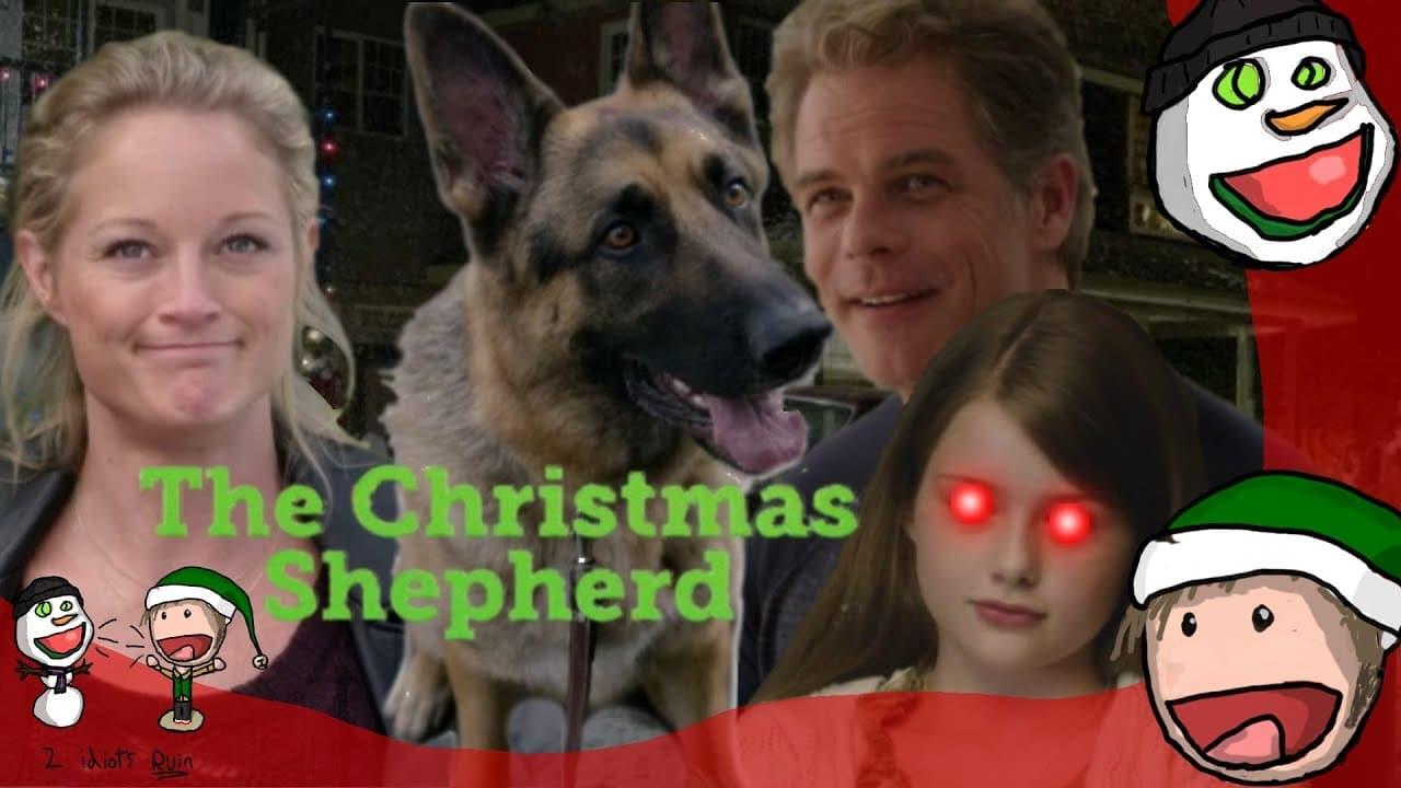 Teri polo discount the christmas shepherd