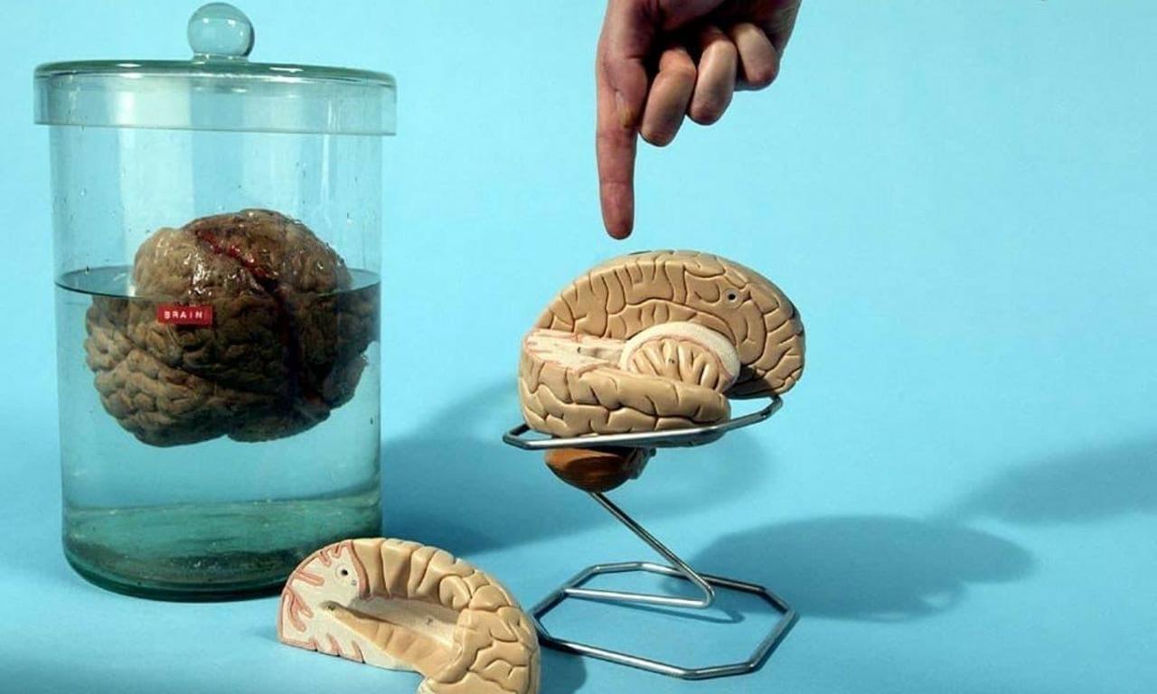 header image for Look Around You