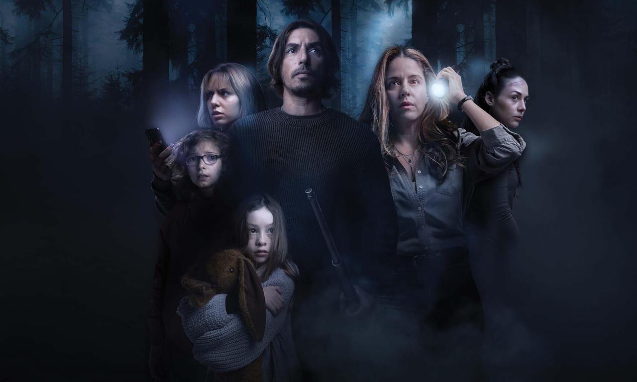 header image for The Shelter