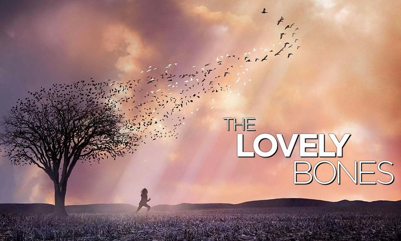 The Lovely Bones Where to Watch and Stream Online Entertainment.ie