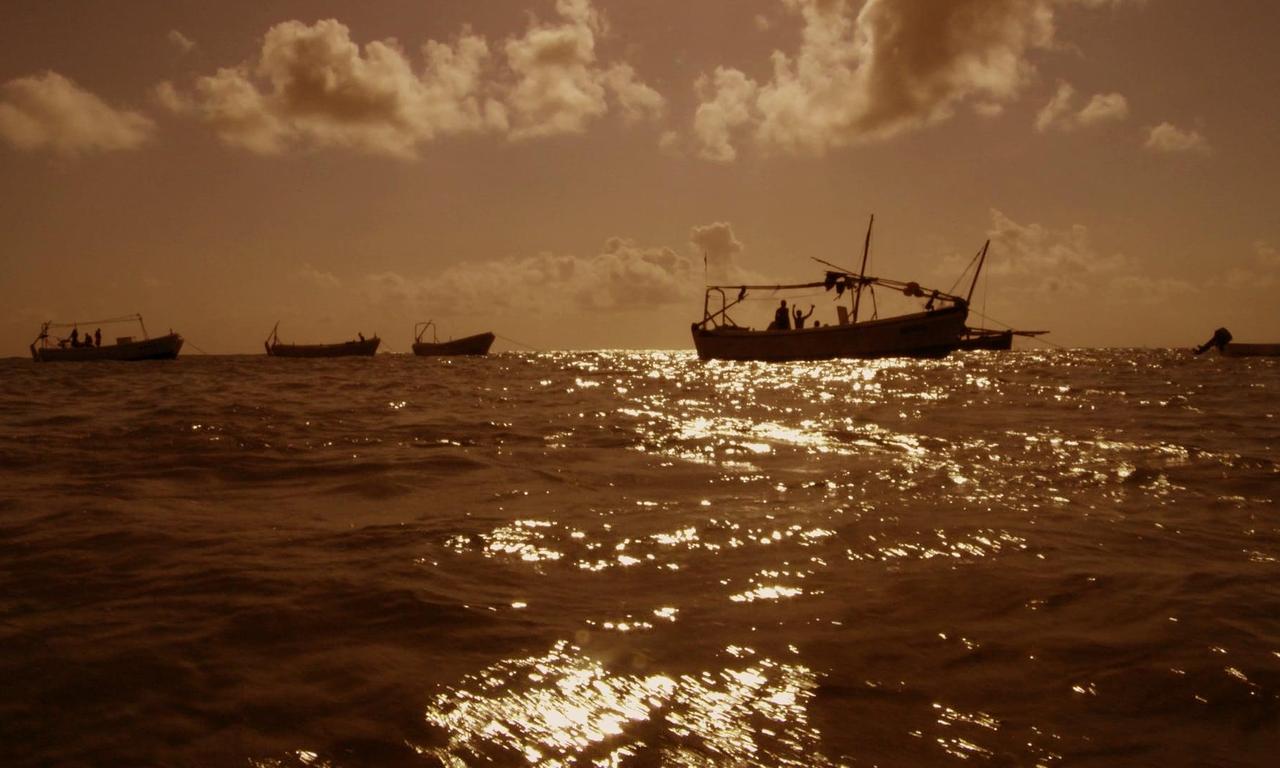 Pirating pirates Where to Watch and Stream Online Entertainment.ie