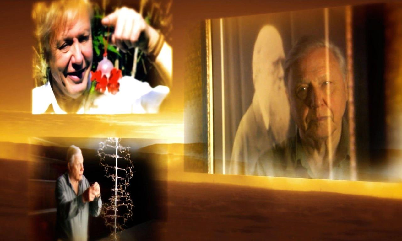 header image for Attenborough's Passion Projects